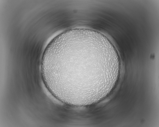 X0000113090957200910091254