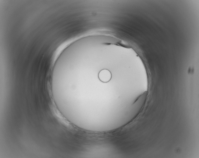 X0000113090960200910091254