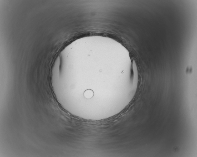 X0000113090961200910091253