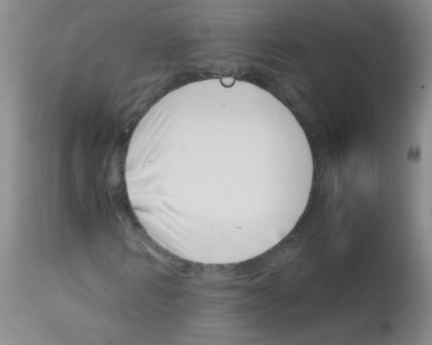 X0000113090962200910091253