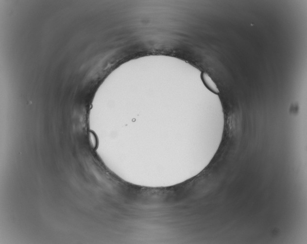 X0000113090963200910091253