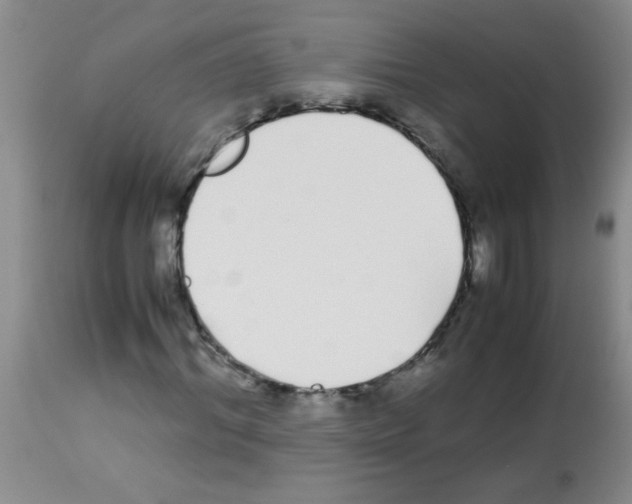 X0000113090964200910091253