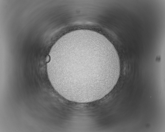 X0000113090966200910091253