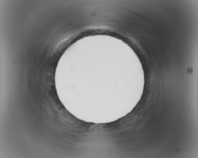 X0000113090967200910091253