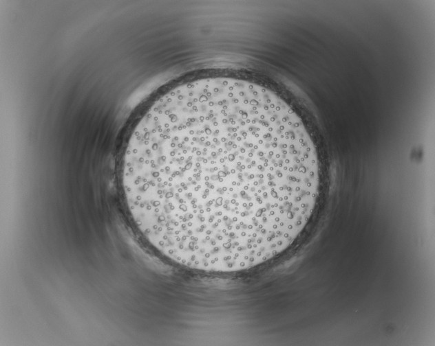 X0000113090970200910091253