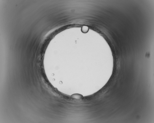 X0000113090971200910091253