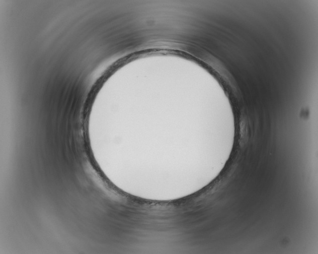X0000113090972200910091253