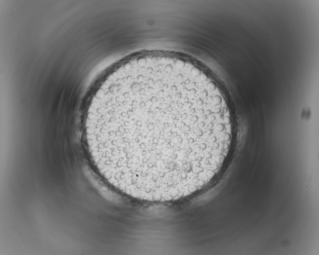 X0000113090974200910091253