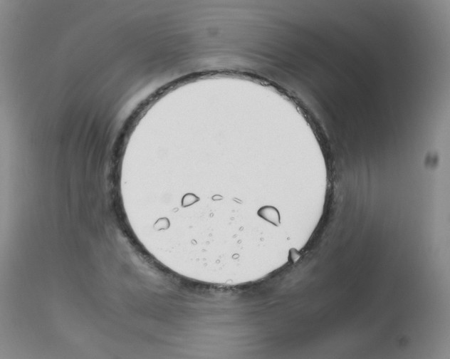 X0000113090975200910091253