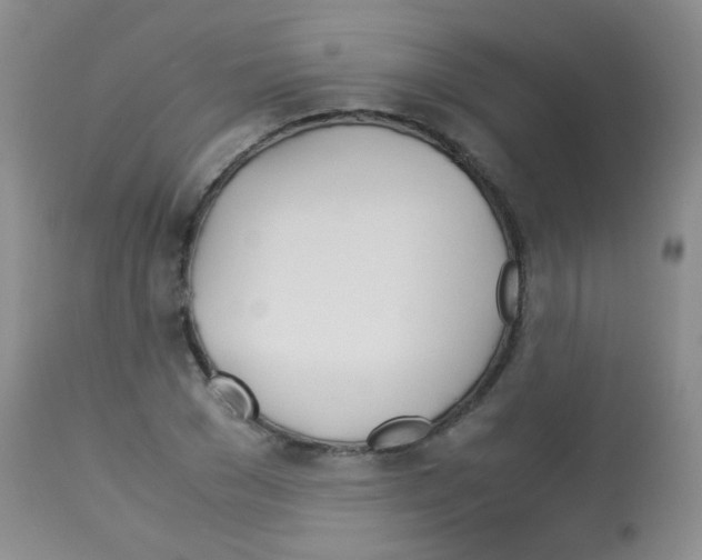 X0000113090977200910091253