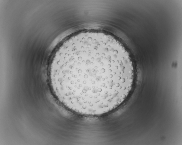 X0000113090978200910091253