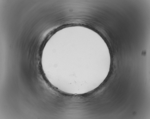 X0000113090979200910091253