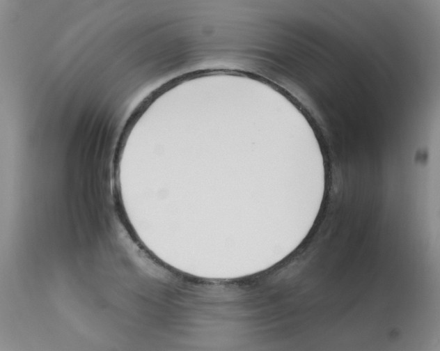 X0000113090980200910091253