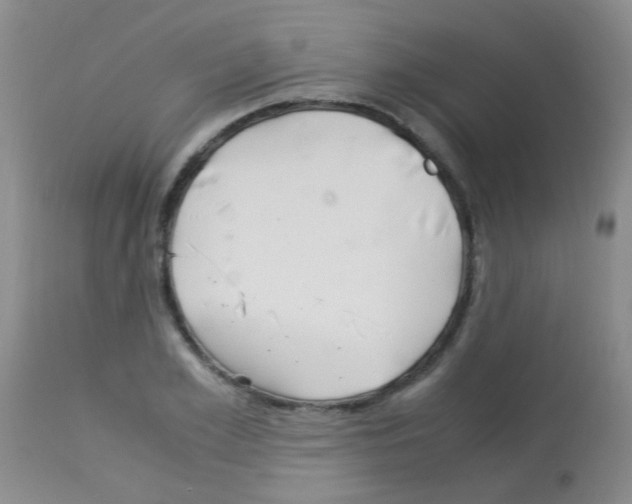 X0000113090981200910091253