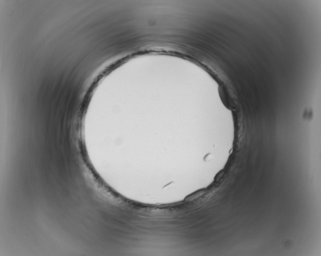X0000113090984200910091253