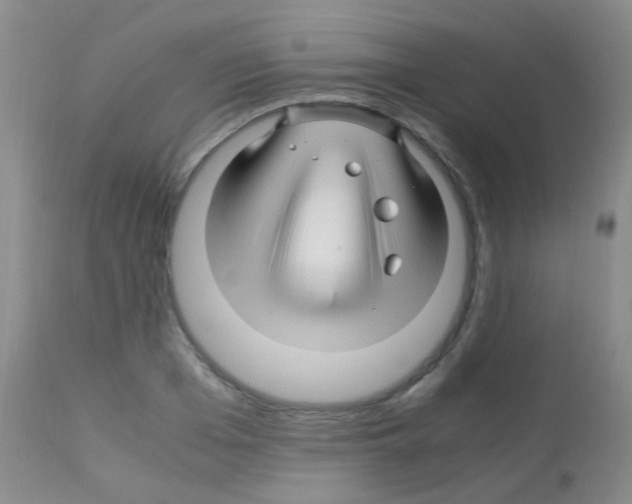 X0000113090985200910091253