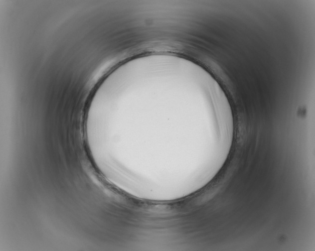 X0000113090986200910091253