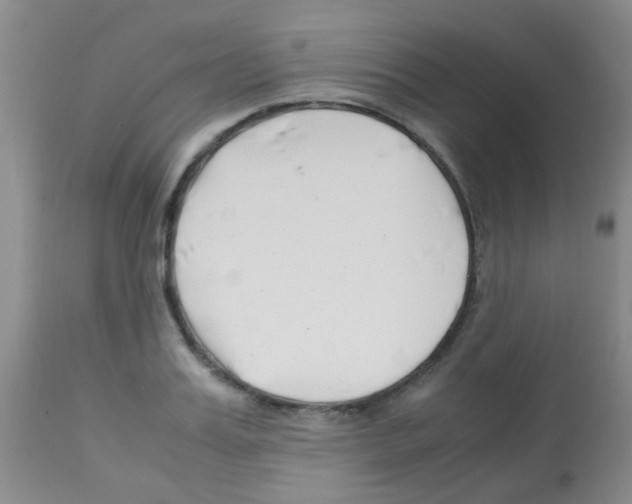 X0000113090987200910091253