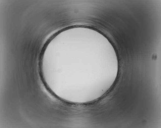 X0000113090991200910091253