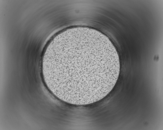 X0000113090992200910091253
