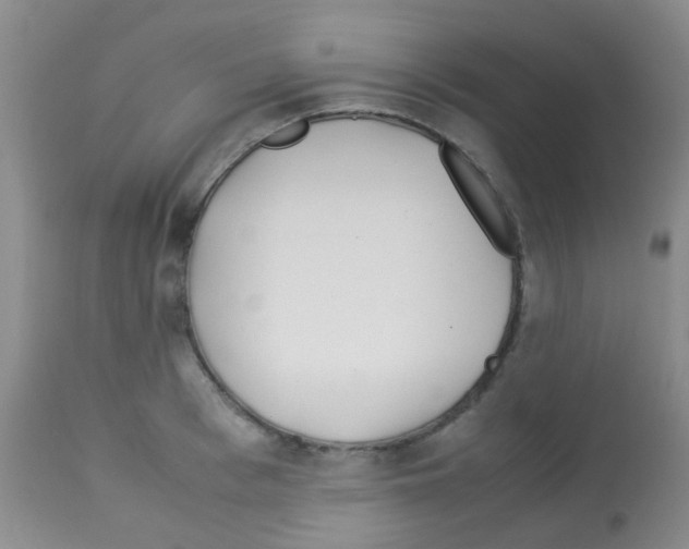X0000113090993200910091253