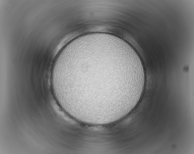 X0000113090994200910091253