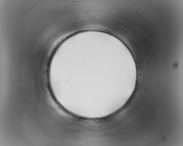 X0000113090995200910091253
