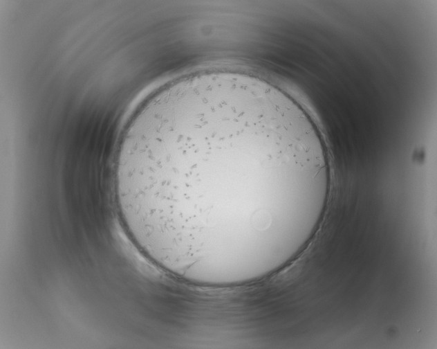 X0000113090996200910091253