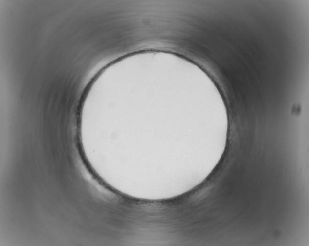 X0000113090999200910091253