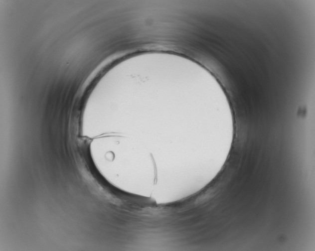X0000113091000200910091253
