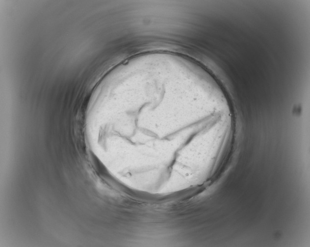 X0000113091001200910091253