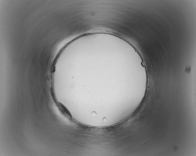 X0000113091003200910091253