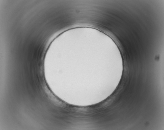 X0000113091004200910091253