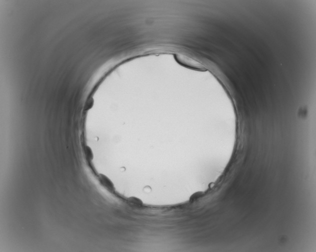 X0000113091005200910091253
