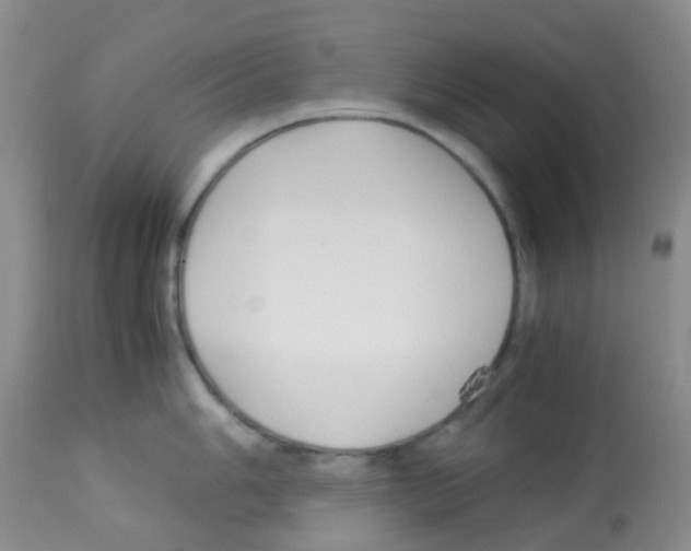X0000113091006200910091253