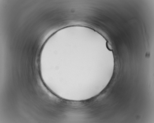 X0000113091007200910091253