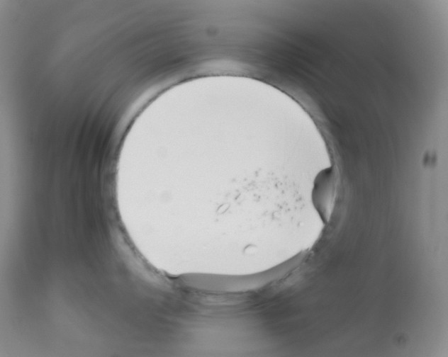 X0000113091008200910091253