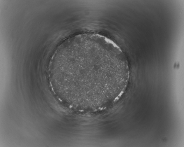 X0000113091009200910091252