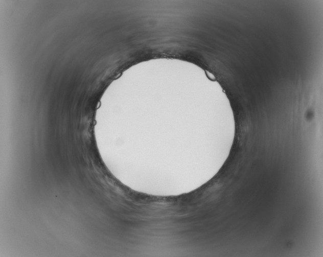 X0000113091010200910091252