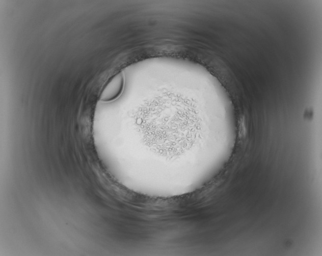X0000113091011200910091252