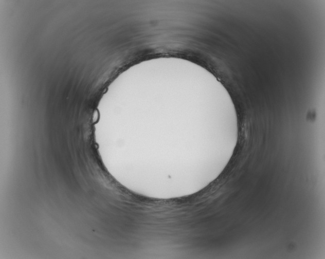 X0000113091012200910091252