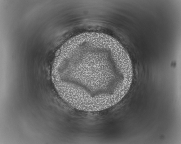 X0000113091013200910091252