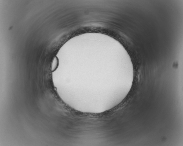 X0000113091014200910091252