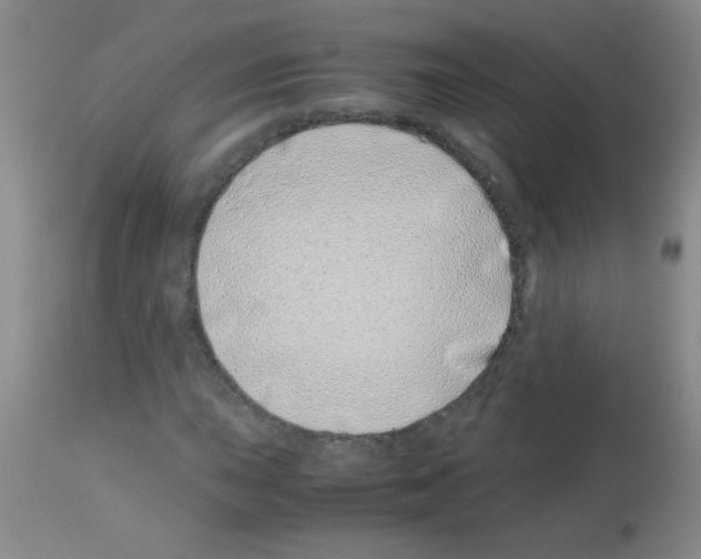 X0000113091015200910091252