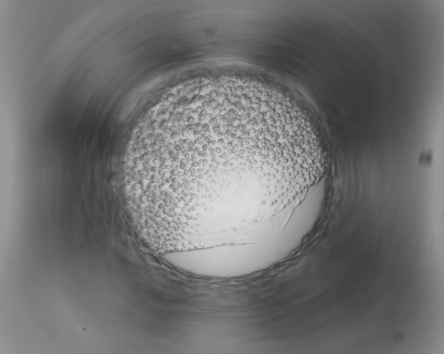 X0000113091016200910091252