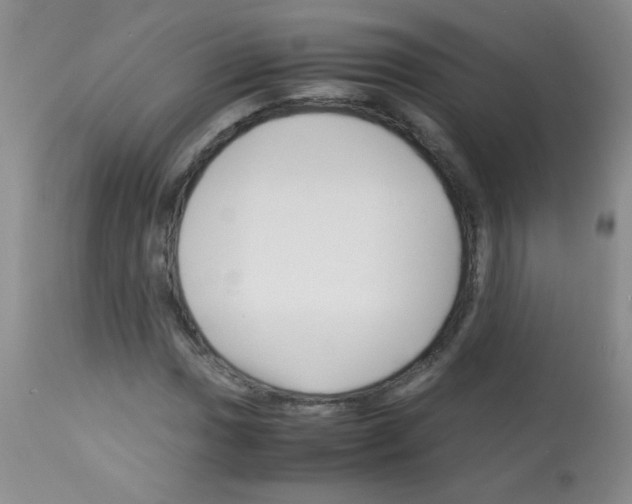 X0000113091017200910091252
