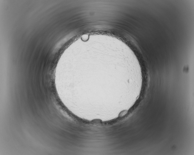 X0000113091018200910091252