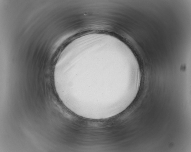X0000113091019200910091252