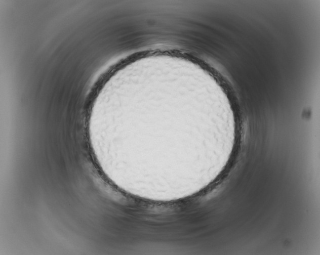 X0000113091021200910091252