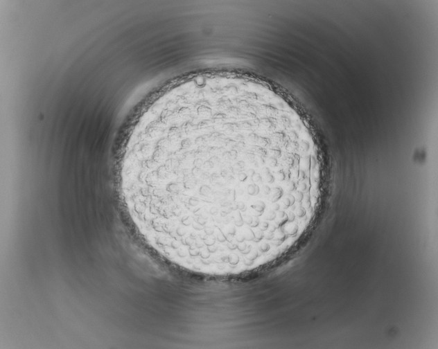 X0000113091022200910091252